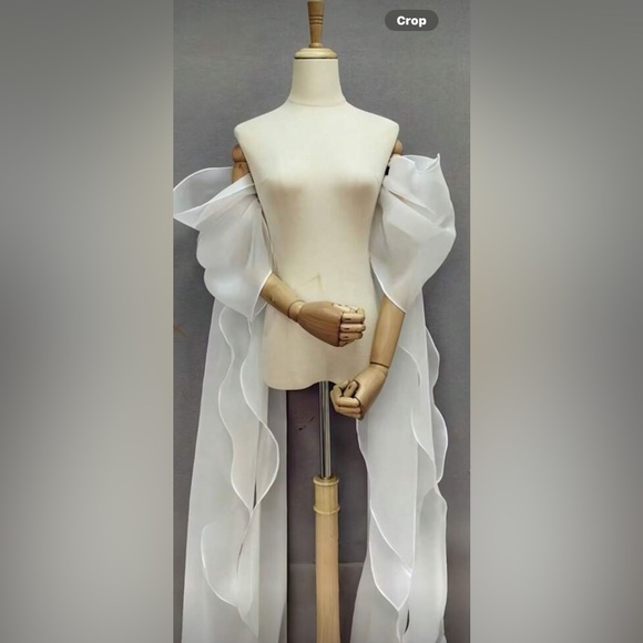 Accessories - Elegant White Sheer Sleeves